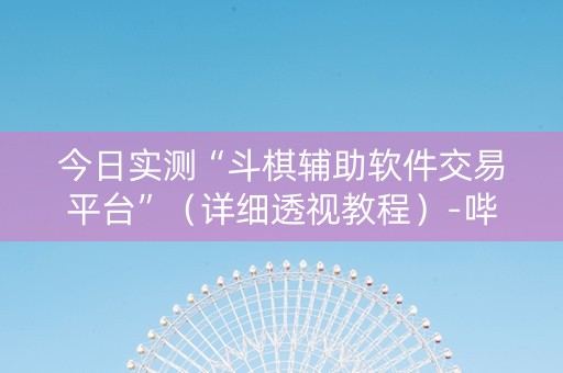 今日实测“斗棋辅助软件交易平台”（详细透视教程）-哔哩哔哩