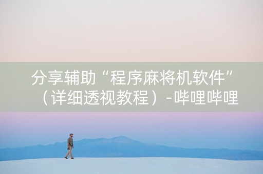分享辅助“程序麻将机软件”（详细透视教程）-哔哩哔哩