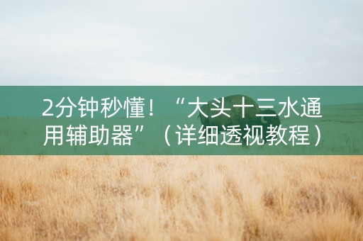 2分钟秒懂！“大头十三水通用辅助器”（详细透视教程）-哔哩哔哩