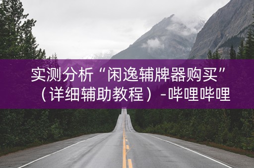 实测分析“闲逸辅牌器购买”（详细辅助教程）-哔哩哔哩