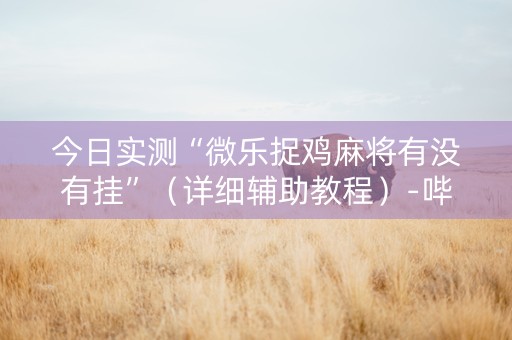 今日实测“微乐捉鸡麻将有没有挂”（详细辅助教程）-哔哩哔哩