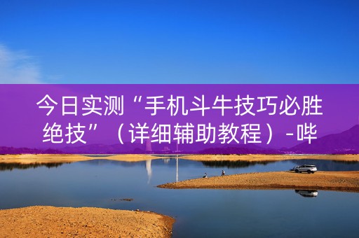 今日实测“手机斗牛技巧必胜绝技”（详细辅助教程）-哔哩哔哩