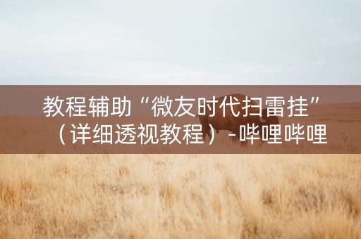 教程辅助“微友时代扫雷挂”（详细透视教程）-哔哩哔哩