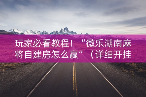 玩家必看教程！“微乐湖南麻将自建房怎么赢”（详细开挂教程）-哔哩哔哩