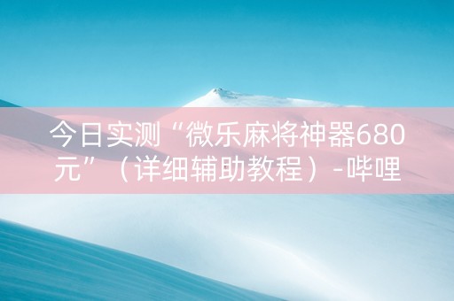 今日实测“微乐麻将神器680元”（详细辅助教程）-哔哩哔哩