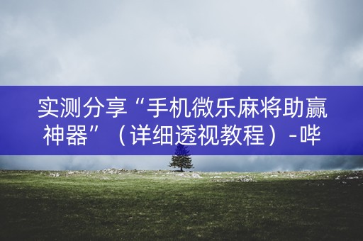实测分享“手机微乐麻将助赢神器”（详细透视教程）-哔哩哔哩