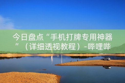 今日盘点“手机打牌专用神器”（详细透视教程）-哔哩哔哩