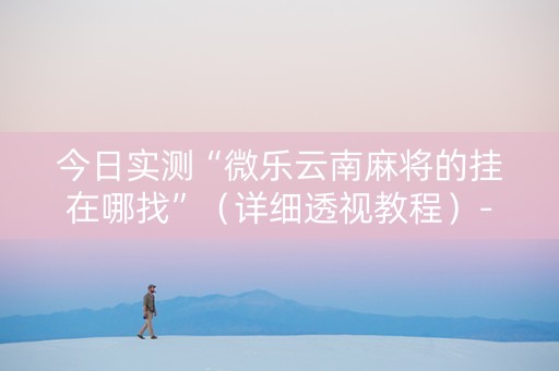 今日实测“微乐云南麻将的挂在哪找”（详细透视教程）-哔哩哔哩
