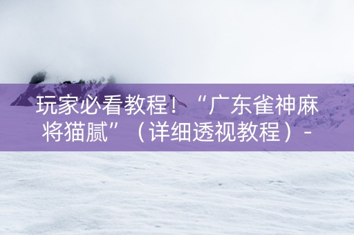 玩家必看教程！“广东雀神麻将猫腻”（详细透视教程）-哔哩哔哩