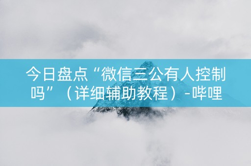 今日盘点“微信三公有人控制吗”（详细辅助教程）-哔哩哔哩