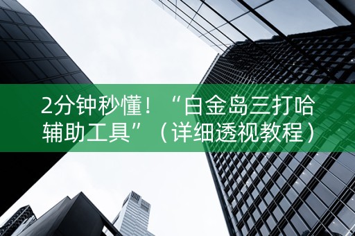 2分钟秒懂！“白金岛三打哈辅助工具”（详细透视教程）-哔哩哔哩