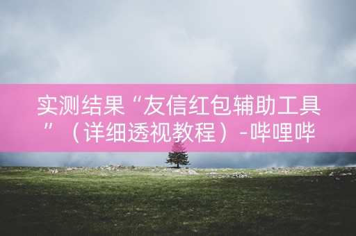 实测结果“友信红包辅助工具”（详细透视教程）-哔哩哔哩