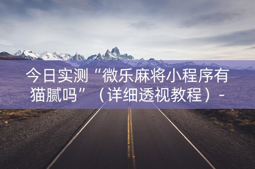 今日实测“微乐麻将小程序有猫腻吗”（详细透视教程）-哔哩哔哩