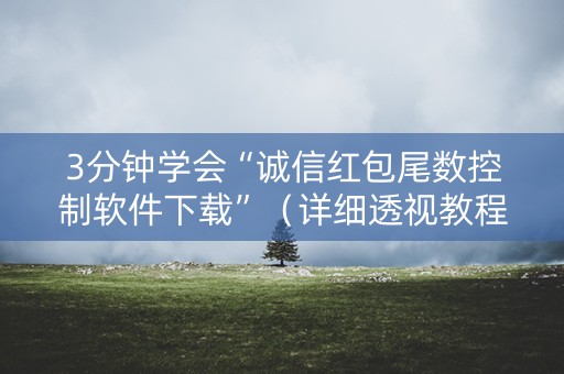 3分钟学会“诚信红包尾数控制软件下载”（详细透视教程）-哔哩哔哩