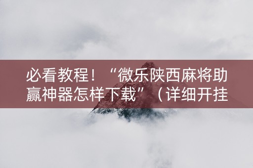 必看教程！“微乐陕西麻将助赢神器怎样下载”（详细开挂教程）-哔哩哔哩