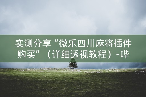实测分享“微乐四川麻将插件购买”（详细透视教程）-哔哩哔哩