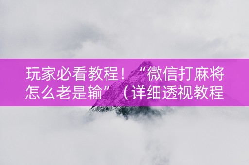 玩家必看教程！“微信打麻将怎么老是输”（详细透视教程）-哔哩哔哩