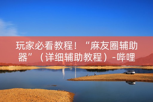 玩家必看教程！“麻友圈辅助器”（详细辅助教程）-哔哩哔哩