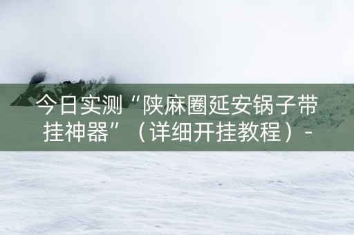 今日实测“陕麻圈延安锅子带挂神器”（详细开挂教程）-哔哩哔哩
