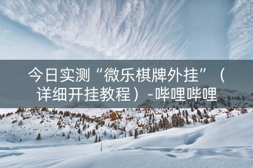 今日实测“微乐棋牌外挂”（详细开挂教程）-哔哩哔哩