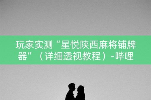 玩家实测“星悦陕西麻将铺牌器”（详细透视教程）-哔哩哔哩