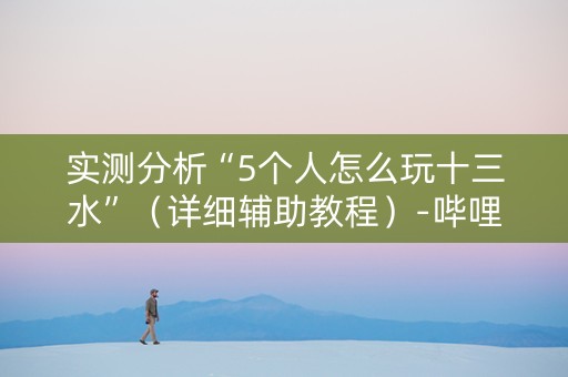 实测分析“5个人怎么玩十三水”（详细辅助教程）-哔哩哔哩