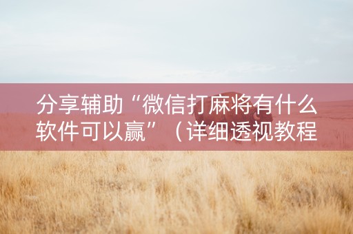 分享辅助“微信打麻将有什么软件可以赢”（详细透视教程）-哔哩哔哩