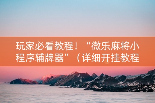 玩家必看教程！“微乐麻将小程序辅牌器”（详细开挂教程）-哔哩哔哩