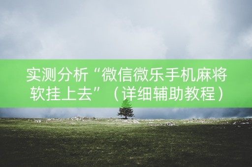 实测分析“微信微乐手机麻将软挂上去”（详细辅助教程）-哔哩哔哩