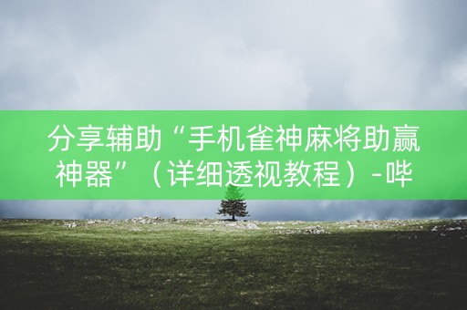 分享辅助“手机雀神麻将助赢神器”（详细透视教程）-哔哩哔哩