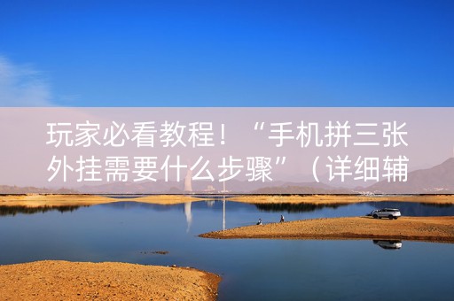 玩家必看教程！“手机拼三张外挂需要什么步骤”（详细辅助教程）-哔哩哔哩