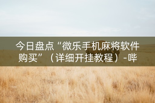 今日盘点“微乐手机麻将软件购买”（详细开挂教程）-哔哩哔哩