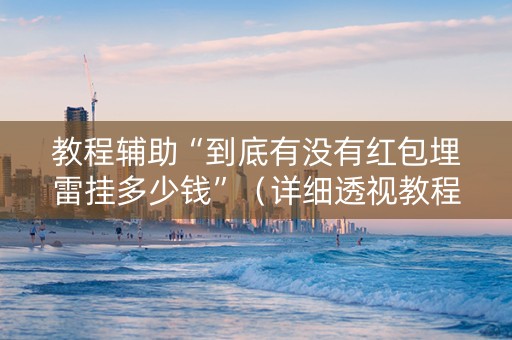 教程辅助“到底有没有红包埋雷挂多少钱”（详细透视教程）-哔哩哔哩