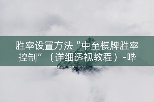 胜率设置方法“中至棋牌胜率控制”（详细透视教程）-哔哩哔哩