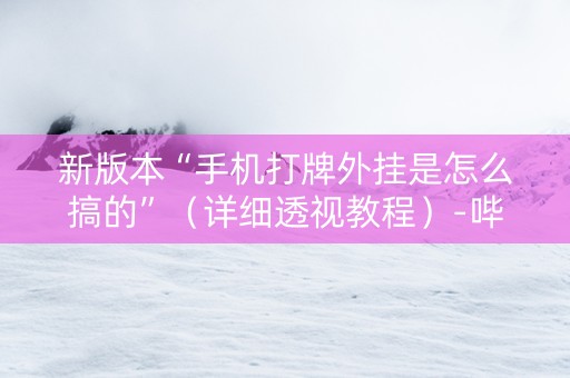 新版本“手机打牌外挂是怎么搞的”（详细透视教程）-哔哩哔哩