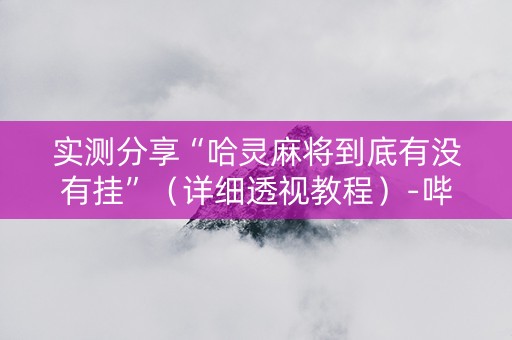实测分享“哈灵麻将到底有没有挂”（详细透视教程）-哔哩哔哩