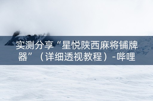 实测分享“星悦陕西麻将铺牌器”（详细透视教程）-哔哩哔哩