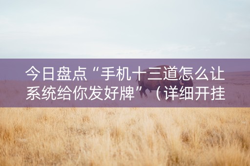 今日盘点“手机十三道怎么让系统给你发好牌”（详细开挂教程）-哔哩哔哩