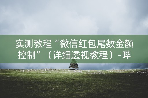实测教程“微信红包尾数金额控制”（详细透视教程）-哔哩哔哩