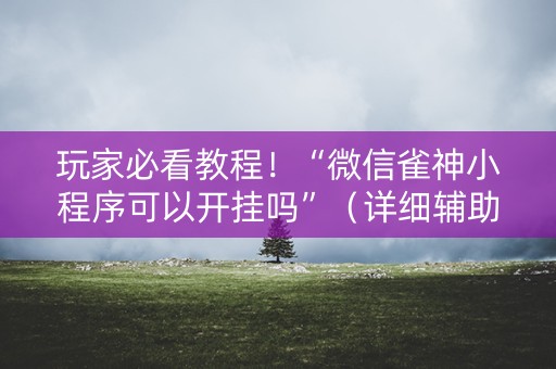 玩家必看教程！“微信雀神小程序可以开挂吗”（详细辅助教程）-哔哩哔哩