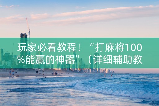 玩家必看教程！“打麻将100%能赢的神器”（详细辅助教程）-哔哩哔哩