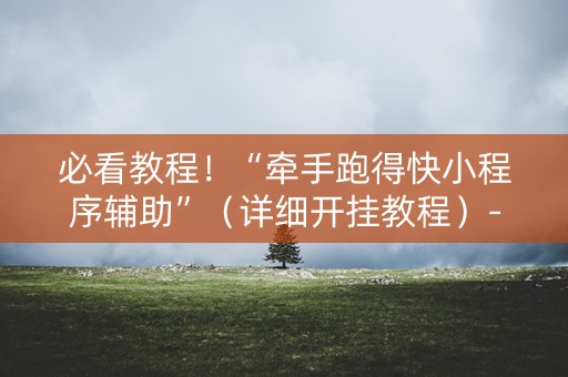 必看教程！“牵手跑得快小程序辅助”（详细开挂教程）-哔哩哔哩
