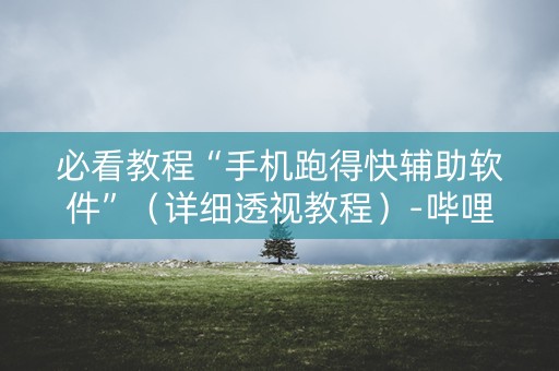 必看教程“手机跑得快辅助软件”（详细透视教程）-哔哩哔哩