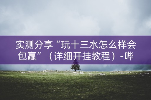实测分享“玩十三水怎么样会包赢”（详细开挂教程）-哔哩哔哩