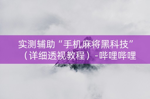 实测辅助“手机麻将黑科技”（详细透视教程）-哔哩哔哩