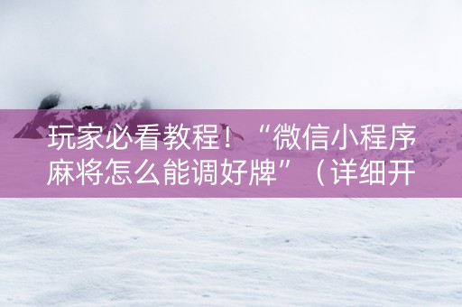 玩家必看教程！“微信小程序麻将怎么能调好牌”（详细开挂教程）-哔哩哔哩