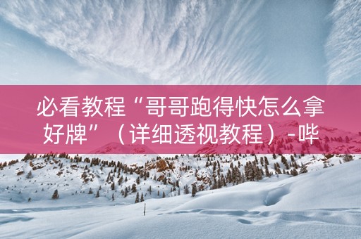 必看教程“哥哥跑得快怎么拿好牌”（详细透视教程）-哔哩哔哩