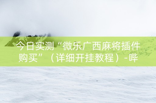 今日实测“微乐广西麻将插件购买”（详细开挂教程）-哔哩哔哩