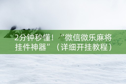 2分钟秒懂！“微信微乐麻将挂件神器”（详细开挂教程）-哔哩哔哩