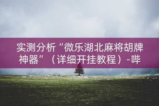 实测分析“微乐湖北麻将胡牌神器”（详细开挂教程）-哔哩哔哩